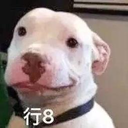 娱乐圈吃瓜公众号微信